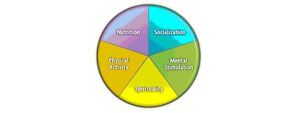 Components of a healthy life